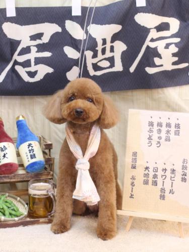 20240612かぐらちゃん